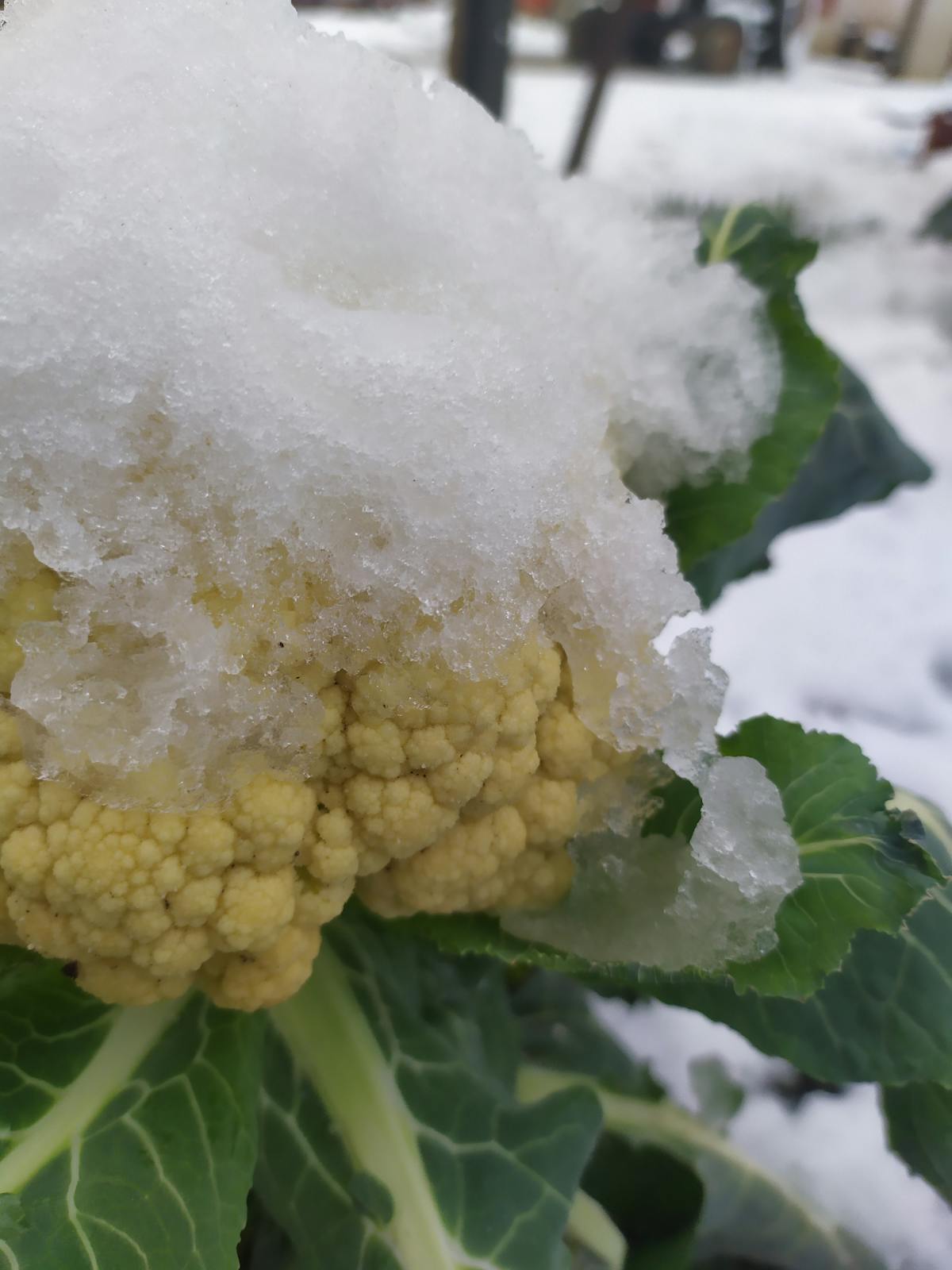 Healthcare cost chart and stethoscope illustrating economic impact of medical treatments