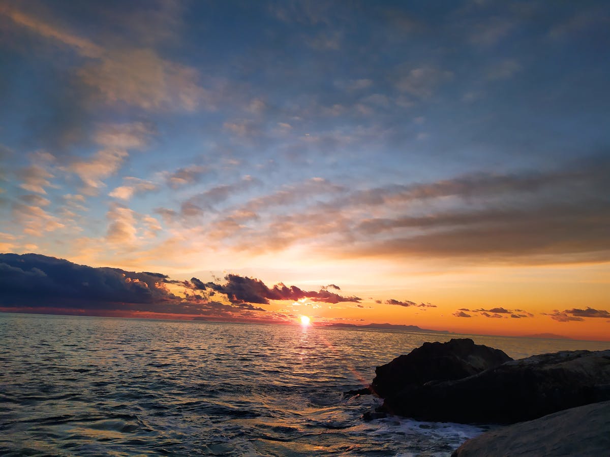 investor tracking portfolio growth chart