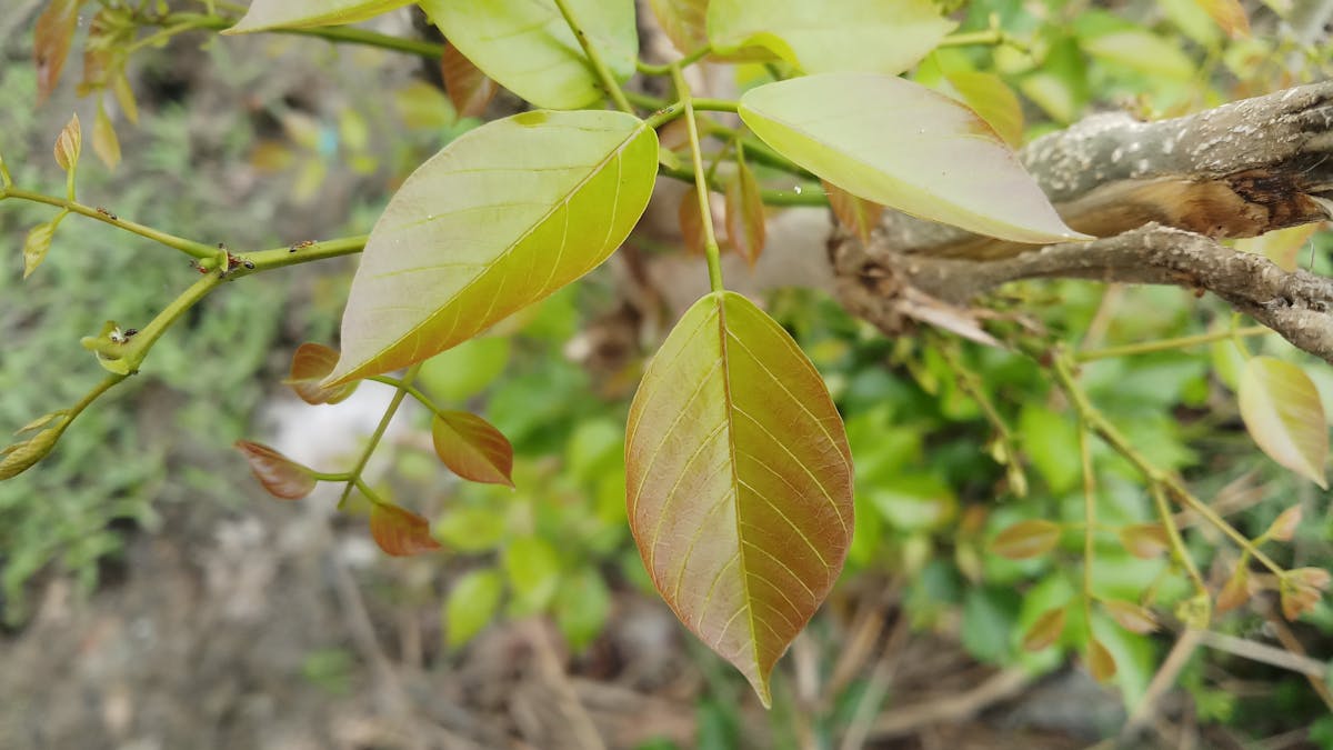 AI investment optimization tools