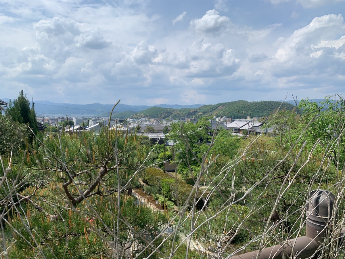 AI forecasting algorithms 2025