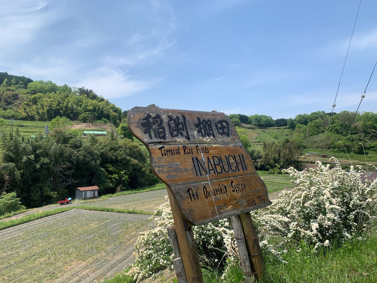 fractional investing concept