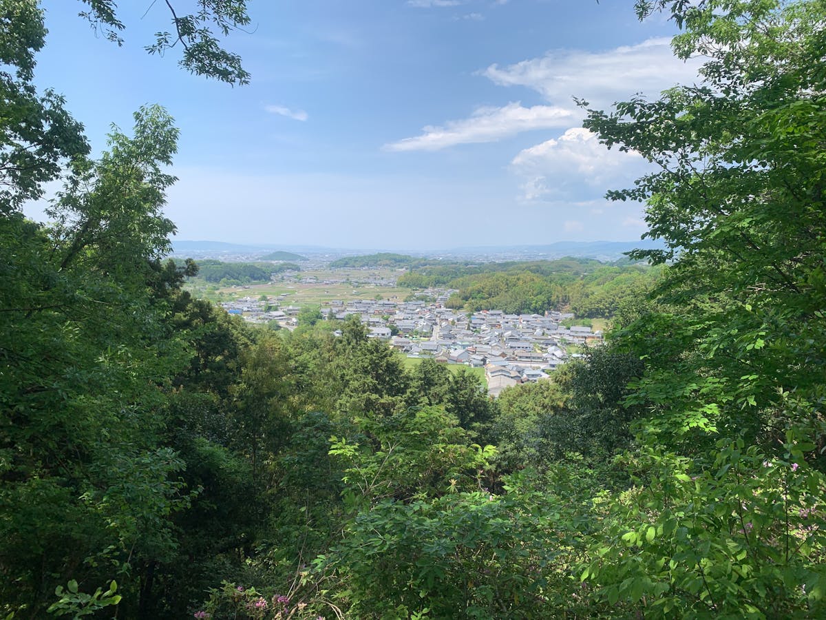 growth ETF analysis chart 2025