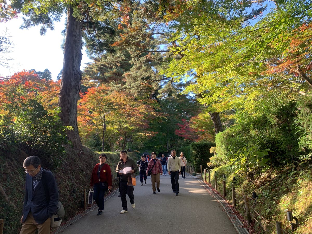 retiree investor AI portfolio