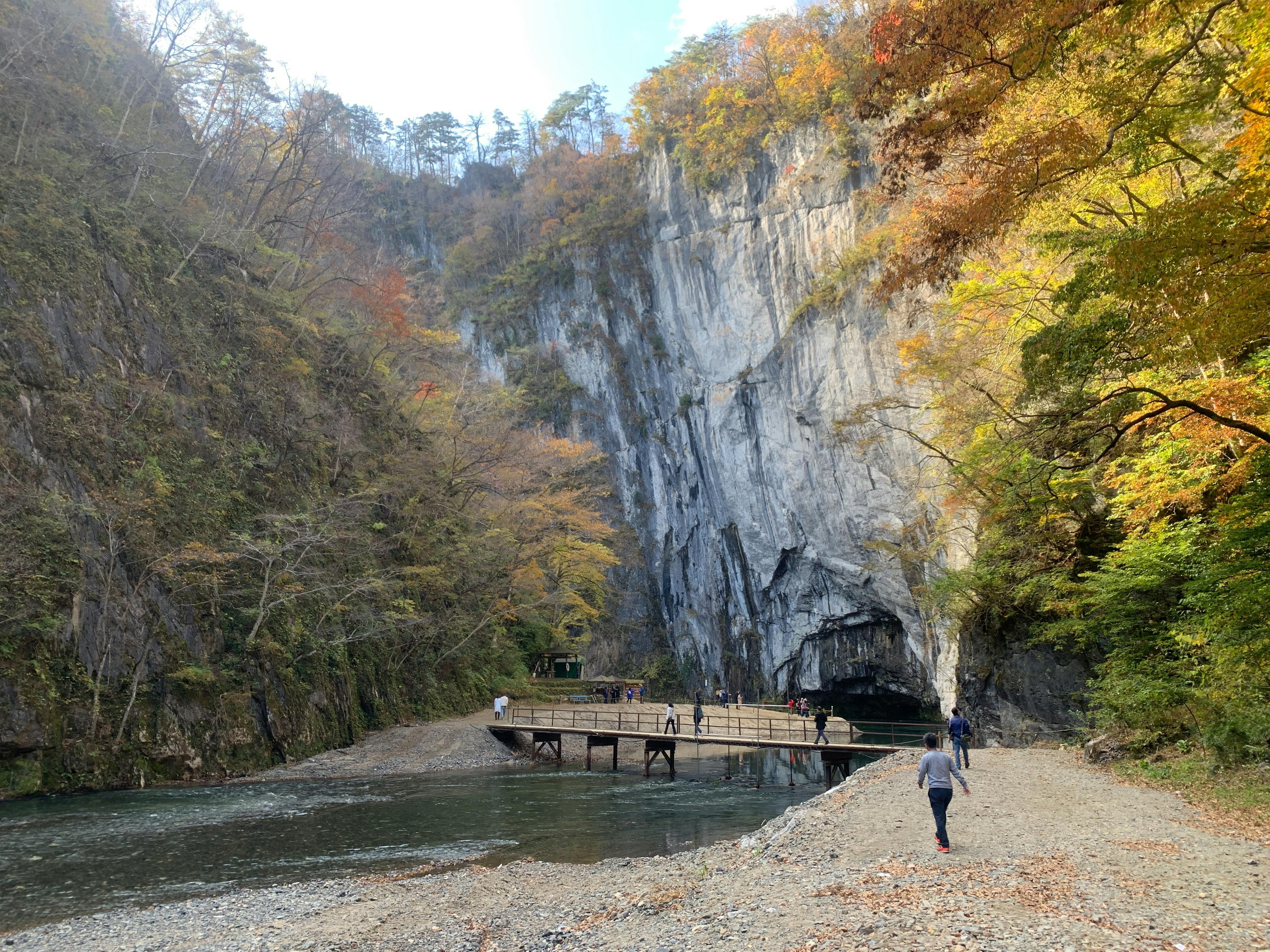 AI compliance officers discussing future algorithmic oversight policies in insurance sector
