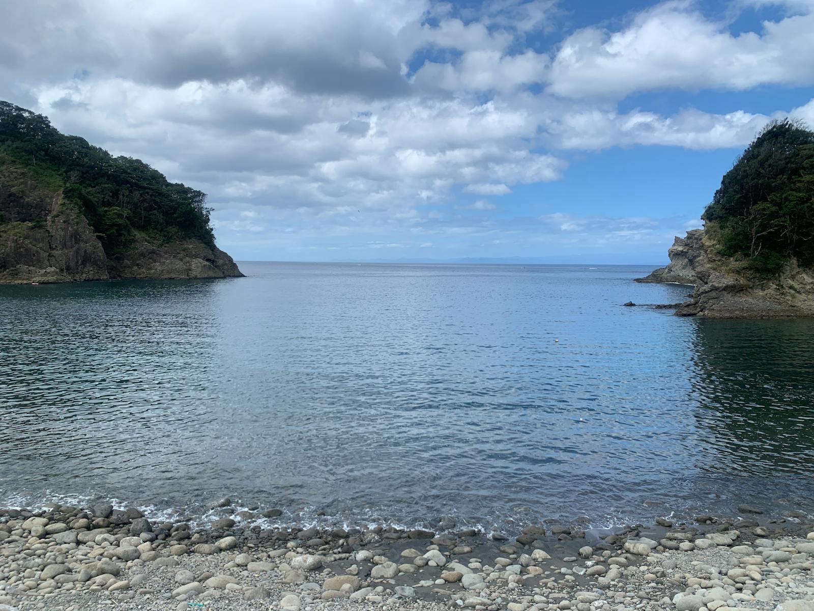 Accounting and project financing support