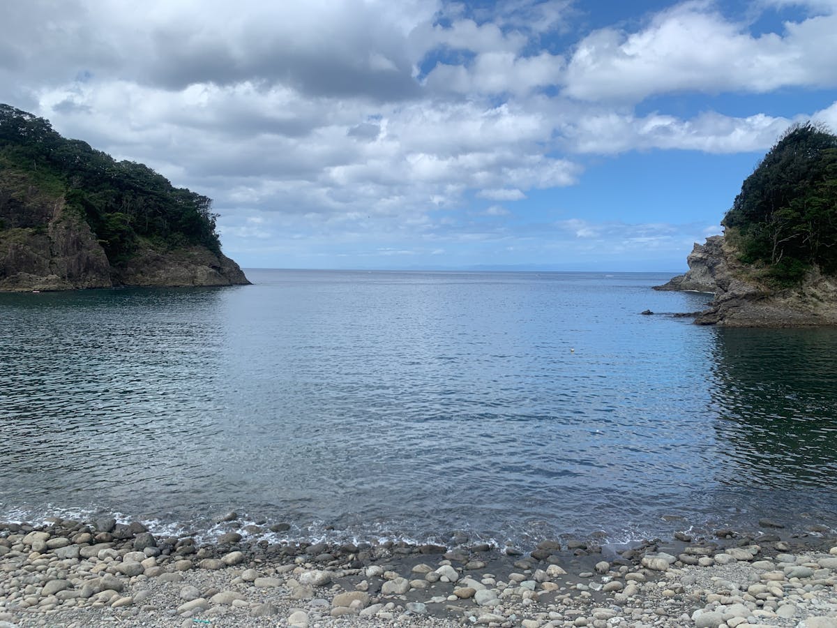 small business investor growth 2025