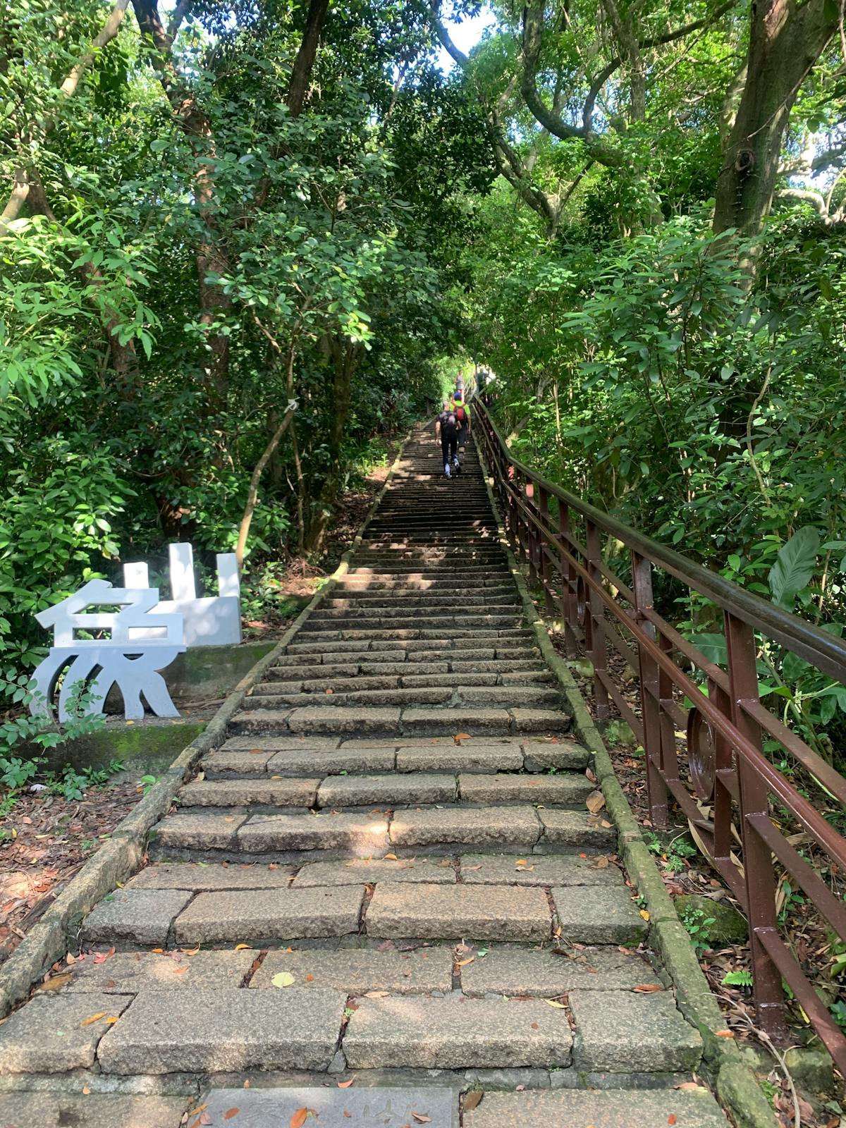 hybrid human and AI investing