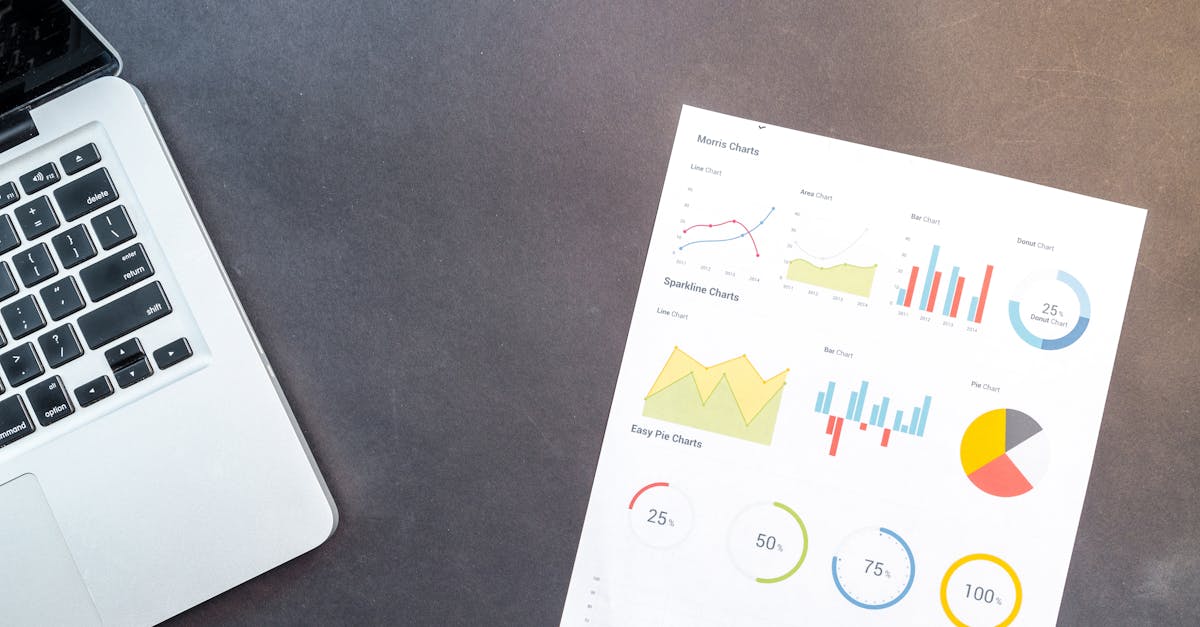 Laptop showing data charts and documents, representing a digital marketing portfolio