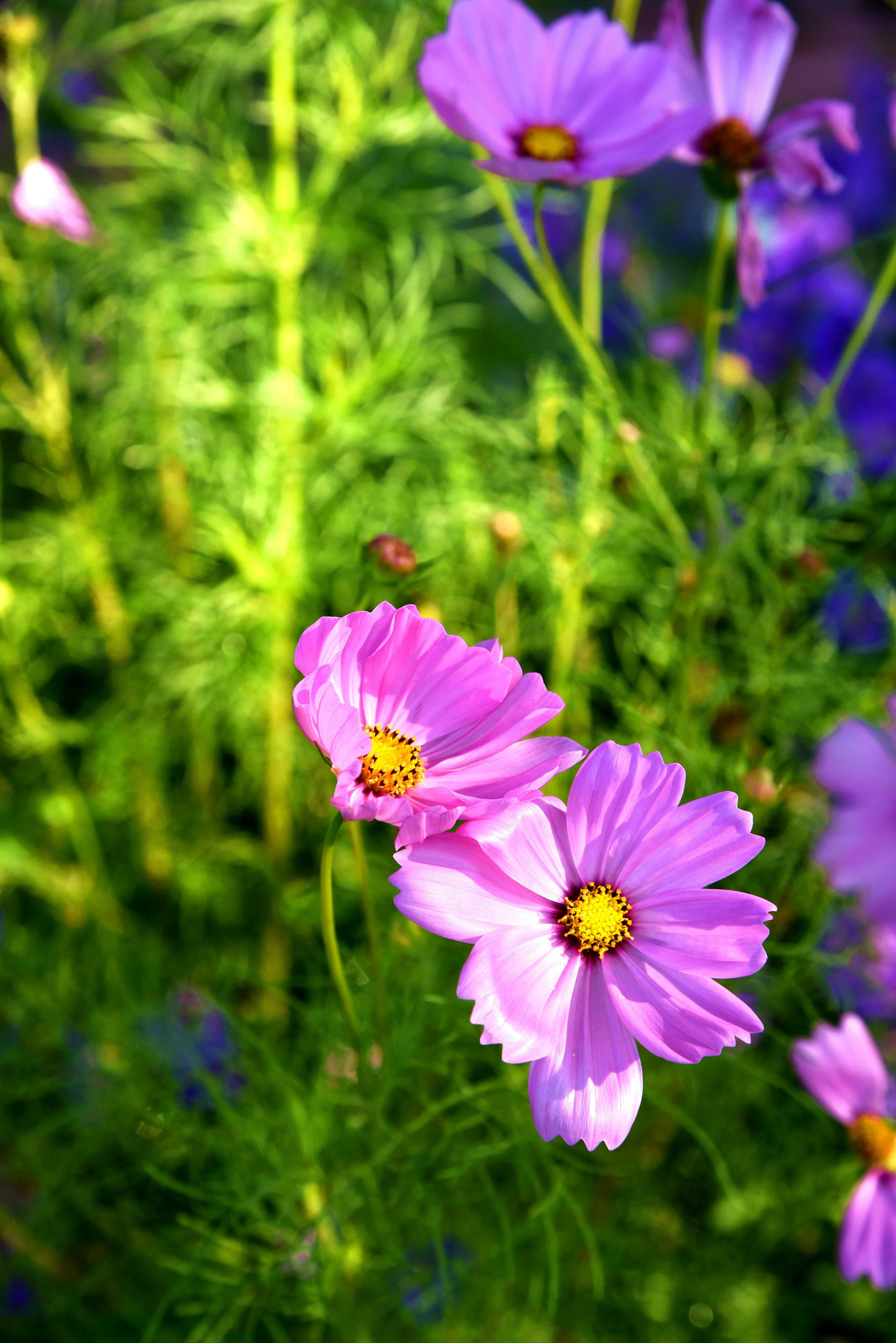 Future of predictive lending 2026 – AI credit ecosystem and transparency innovation