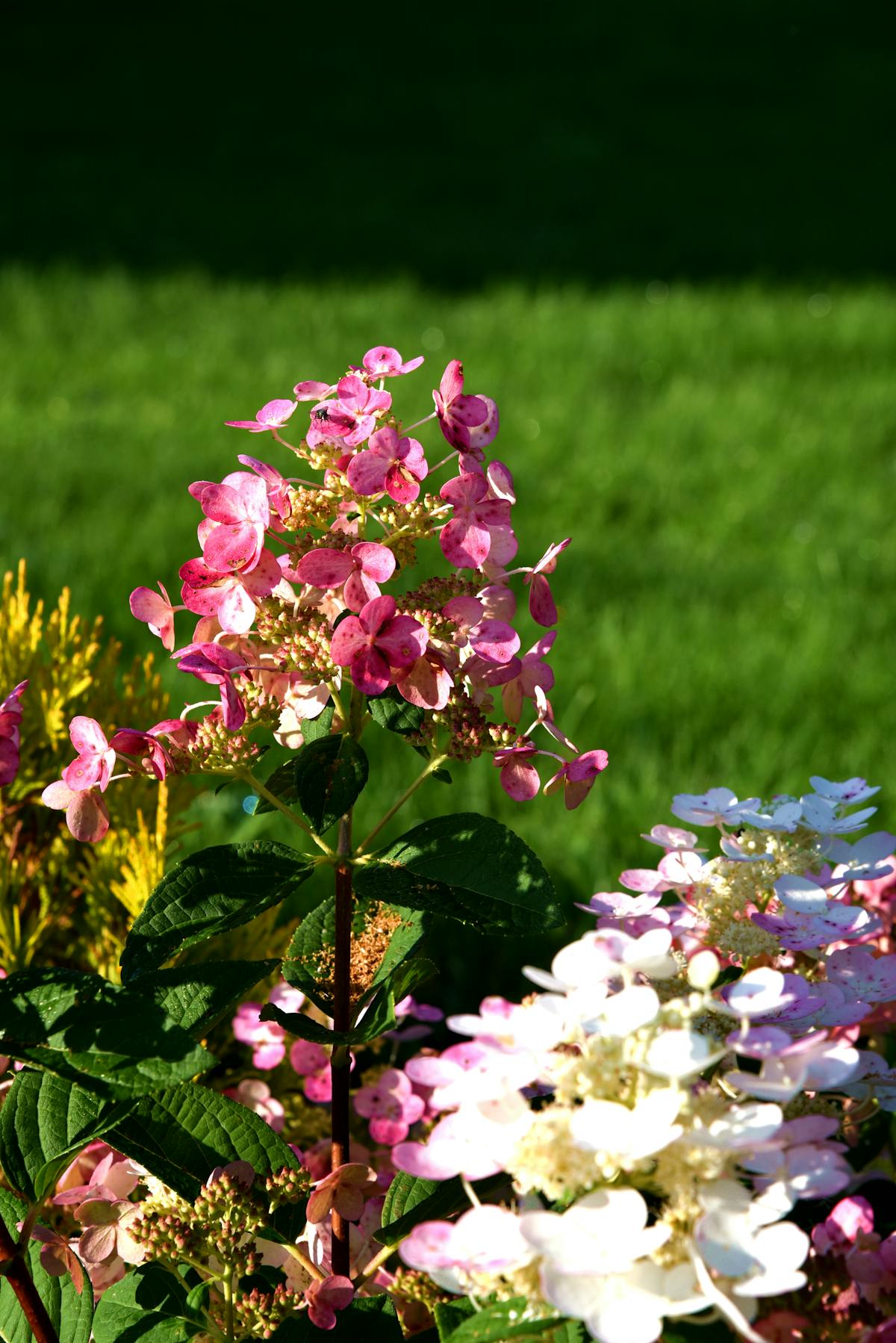 Наблюдаемость и алерты