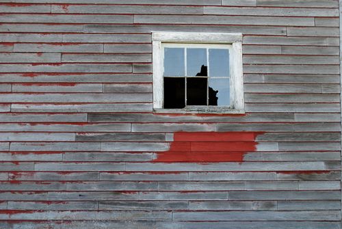 Free Rustic wooden wall with a broken window in Topsham, Maine, showcasing weathered and shabby textures. Stock Photo