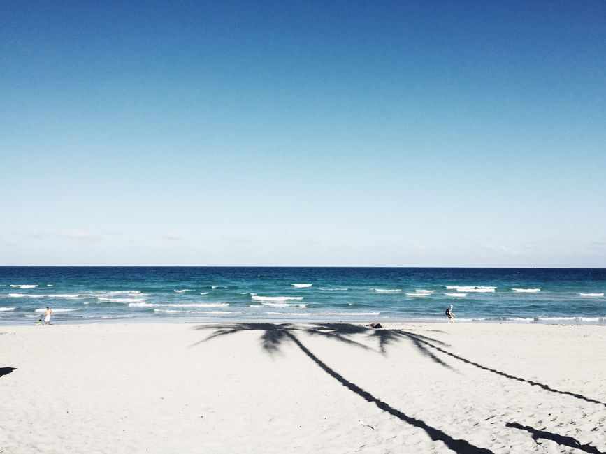 The Bristol Palm Beach