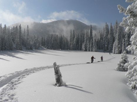 徒步旅行者在宁静的森林雪景中享受冬季活动