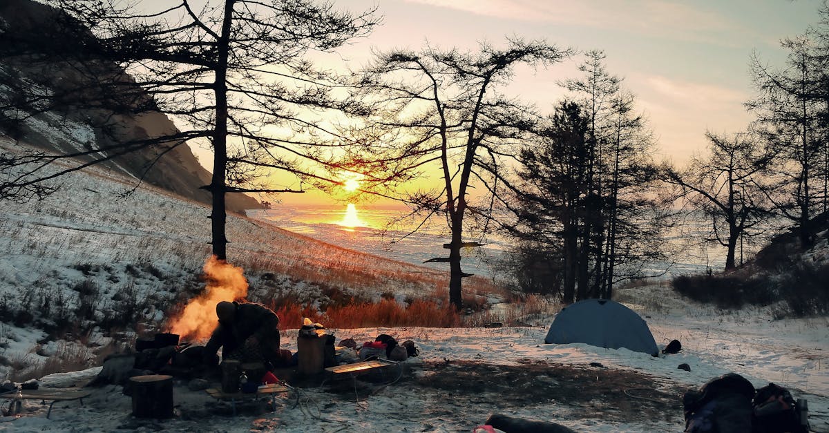 Free stock photo of campfire, cold, fire