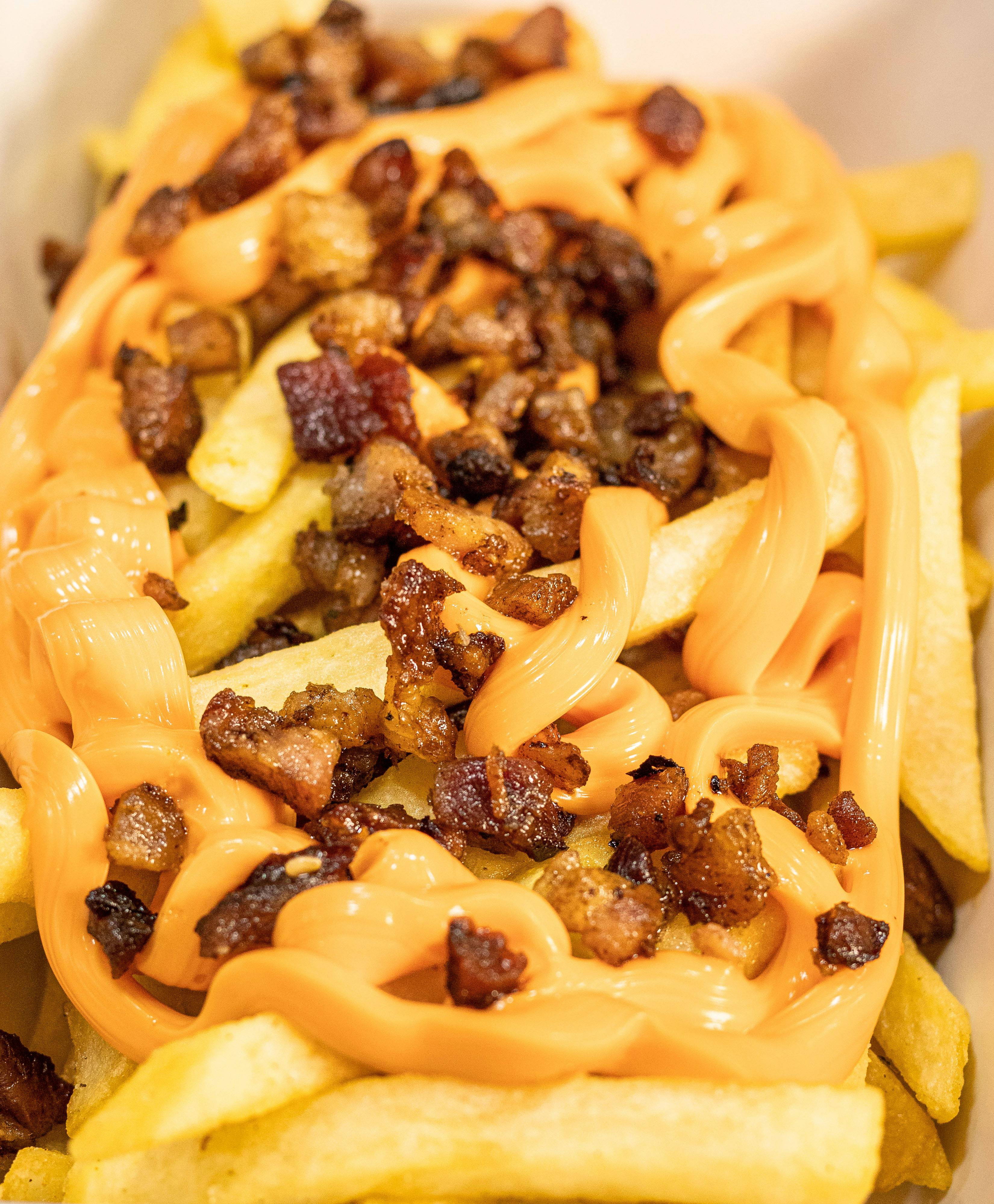 Tejido muscular - fibras