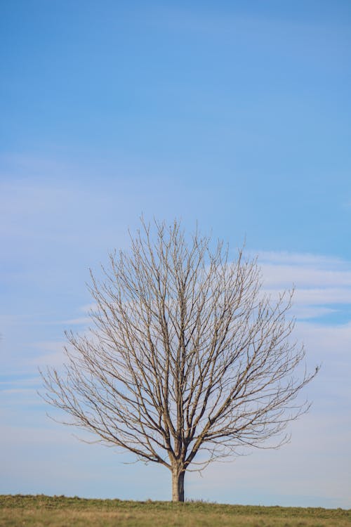 Gratis lagerfoto af bane, bar, blå himmel