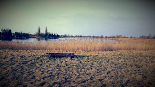 Ilmainen kuvapankkikuva tunnisteilla järvi, joki, luonto