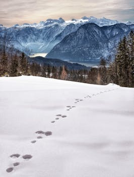 在奥地利上奥斯特赖希，积雪的足迹通向雄伟山脉的风景