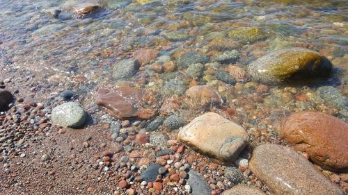 Free stock photo of baltic sea Stock Photo
