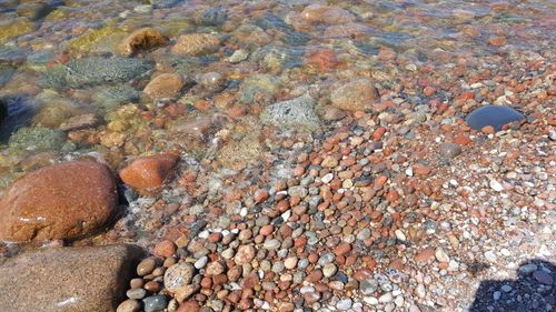 Free stock photo of baltic sea Stock Photo