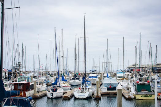 Monterey, United States photo 18