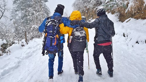 Back View of Friends Walking Together on Snow Covered Ground