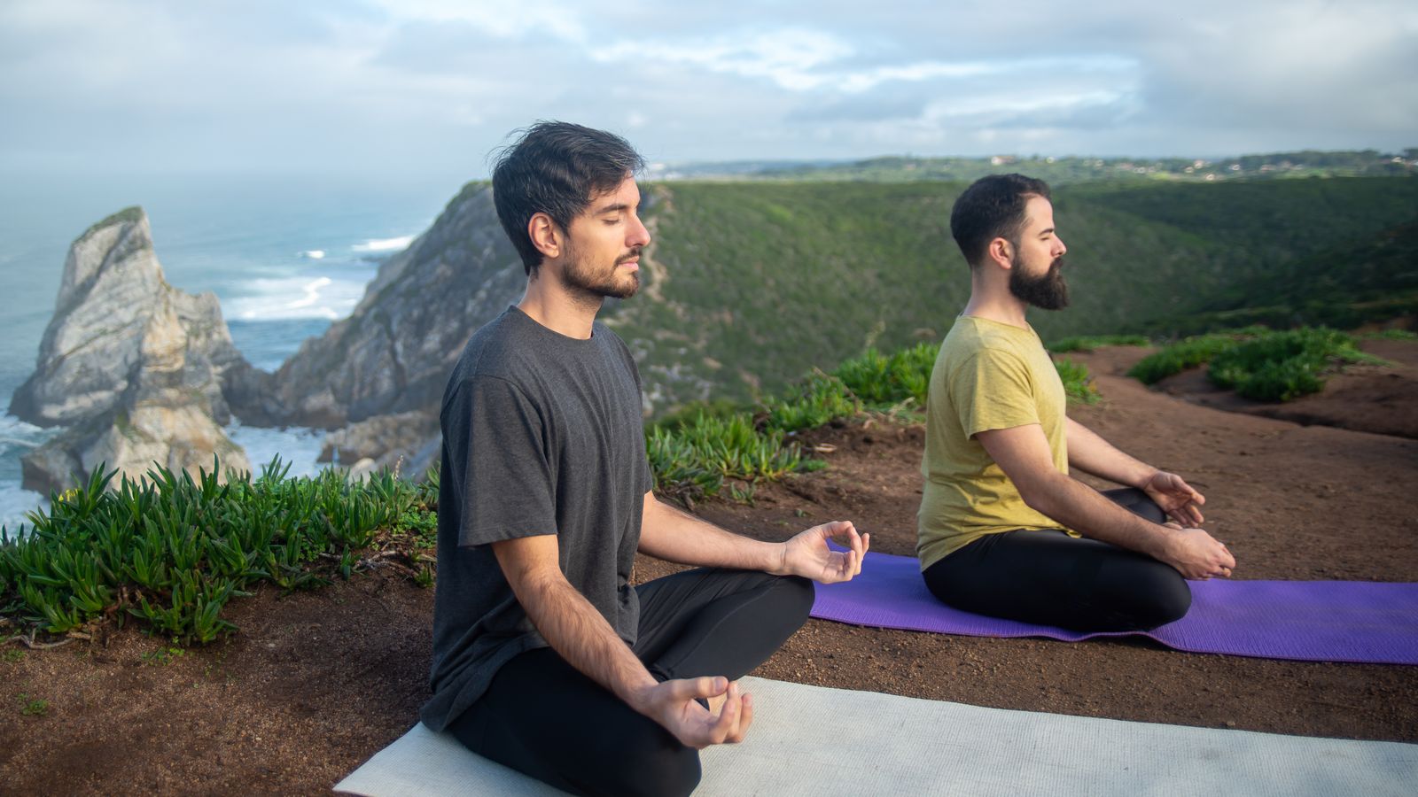 Zenmoa yoga studio