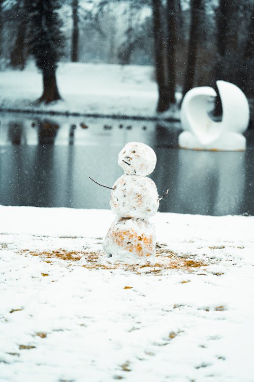 Snowman on snowy coast of lake in winter park with trees during snowfall