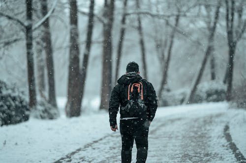 Man in outerwear walking on path between winter trees