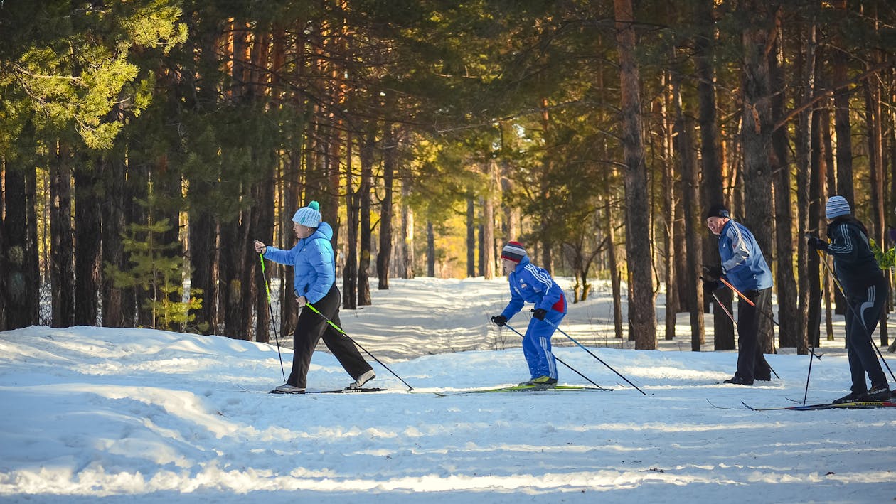 Free 4 Man Snow Skiing in the Woods Stock Photo