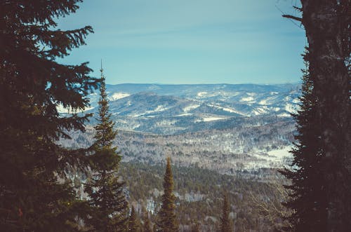 Ingyenes stockfotó dombok, ég, fák témában