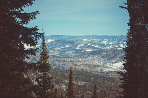 Free Breathtaking mountain view with snow-covered forests under clear skies. Stock Photo