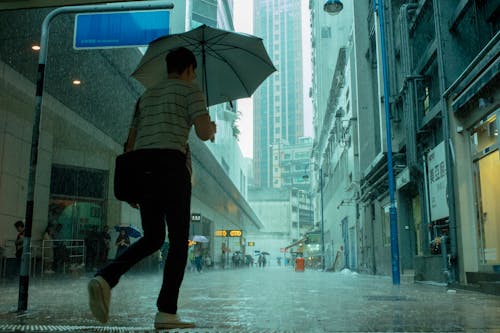 Fotobanka s bezplatnými fotkami na tému budova, chôdza, Hongkong