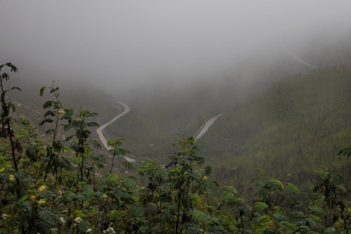 Biểu diễn cồng chiêng Tây Nguyên