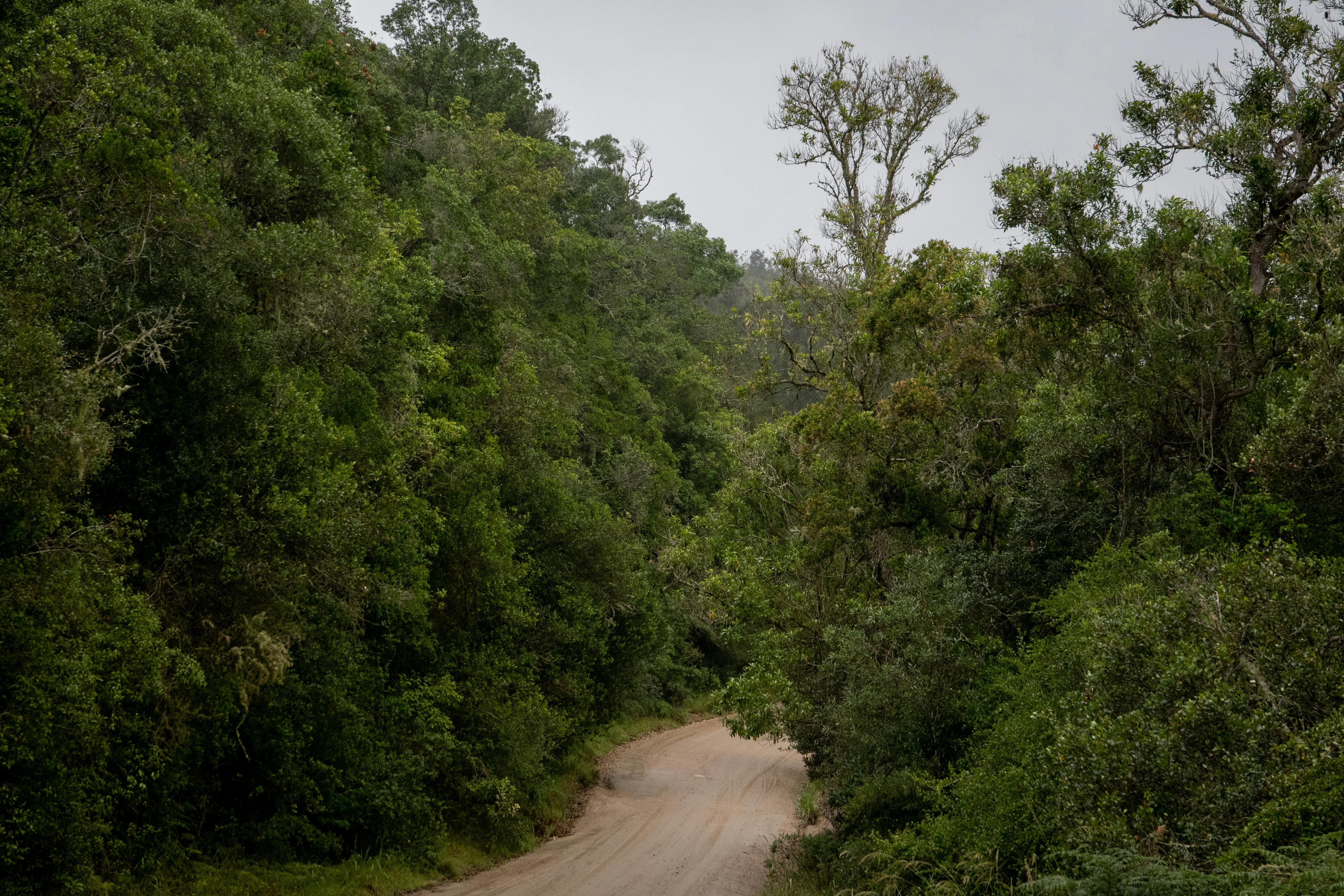 일정이 밀렸을 때 공부 계획을 조정하며 흐름을 유지하는 모습