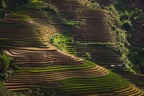 Ảnh lưu trữ miễn phí về bắn từ trên không, mung cang chai, phong cảnh