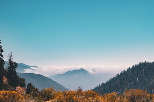 Free Mountain Covering Clouds Stock Photo