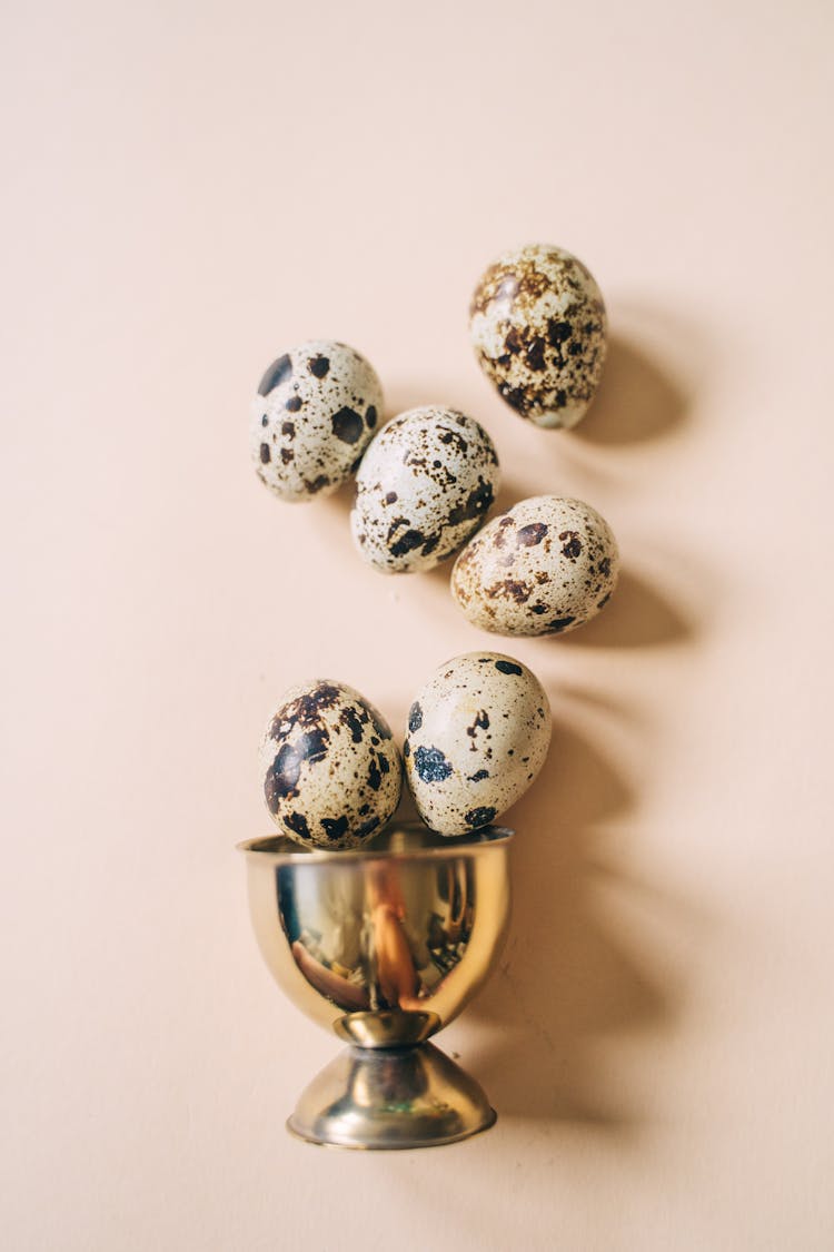 A Group Of Quail Eggs Beside Egg Holder Lying On Surface