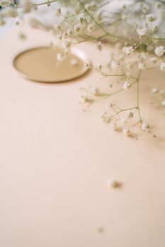 Elegant close-up of baby's breath flowers on a smooth beige surface, creating a serene, minimalist scene.