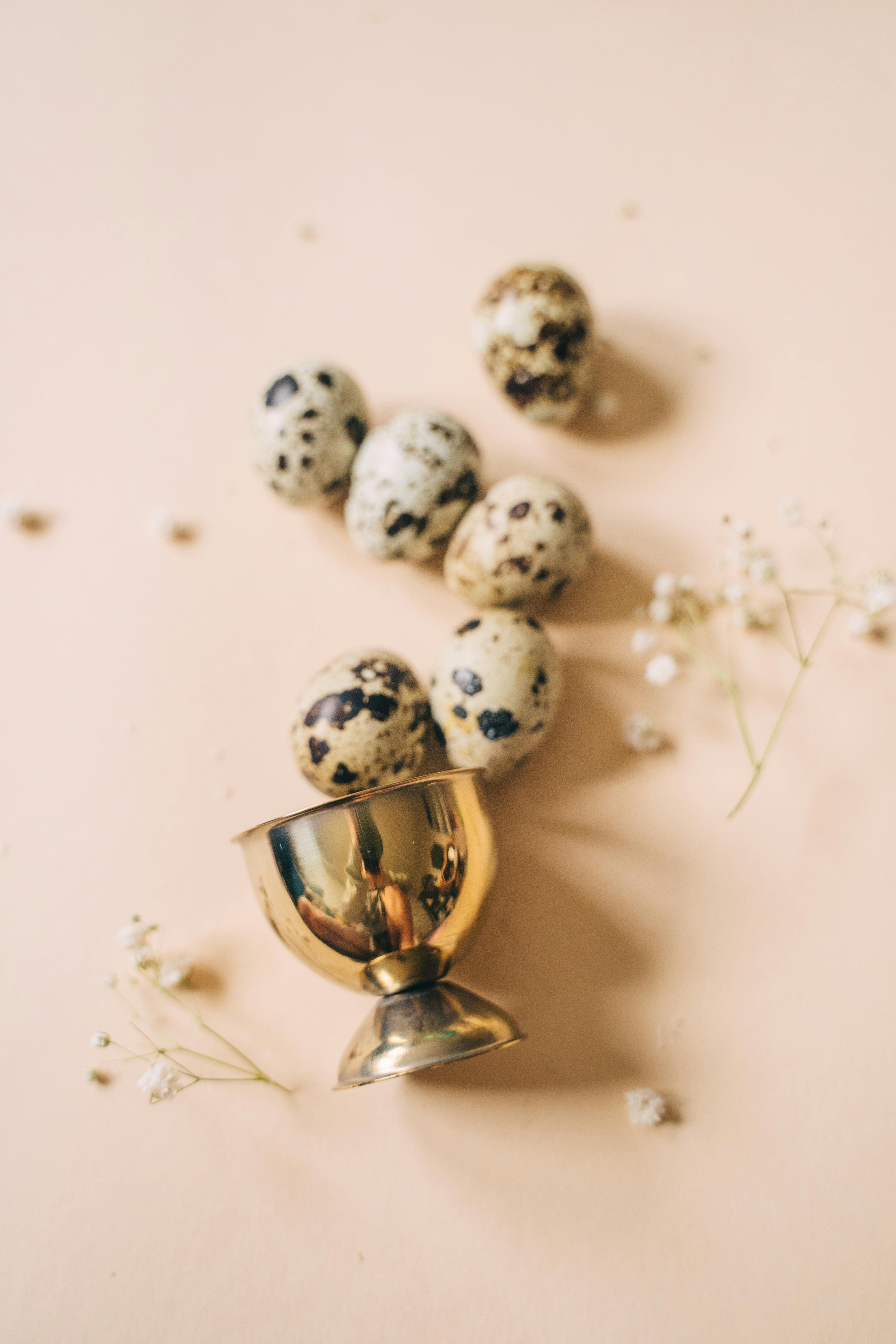 a group of quail eggs beside egg holder lying on surface