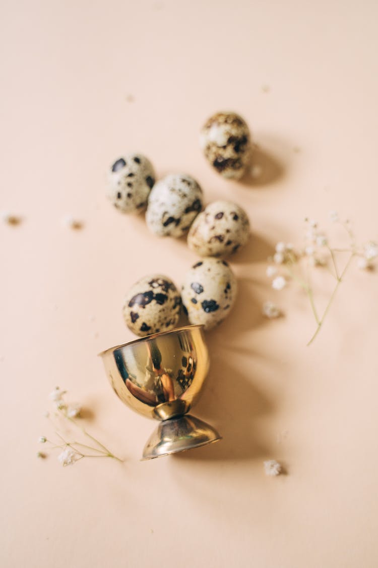 A Group Of Quail Eggs Beside Egg Holder Lying On Surface
