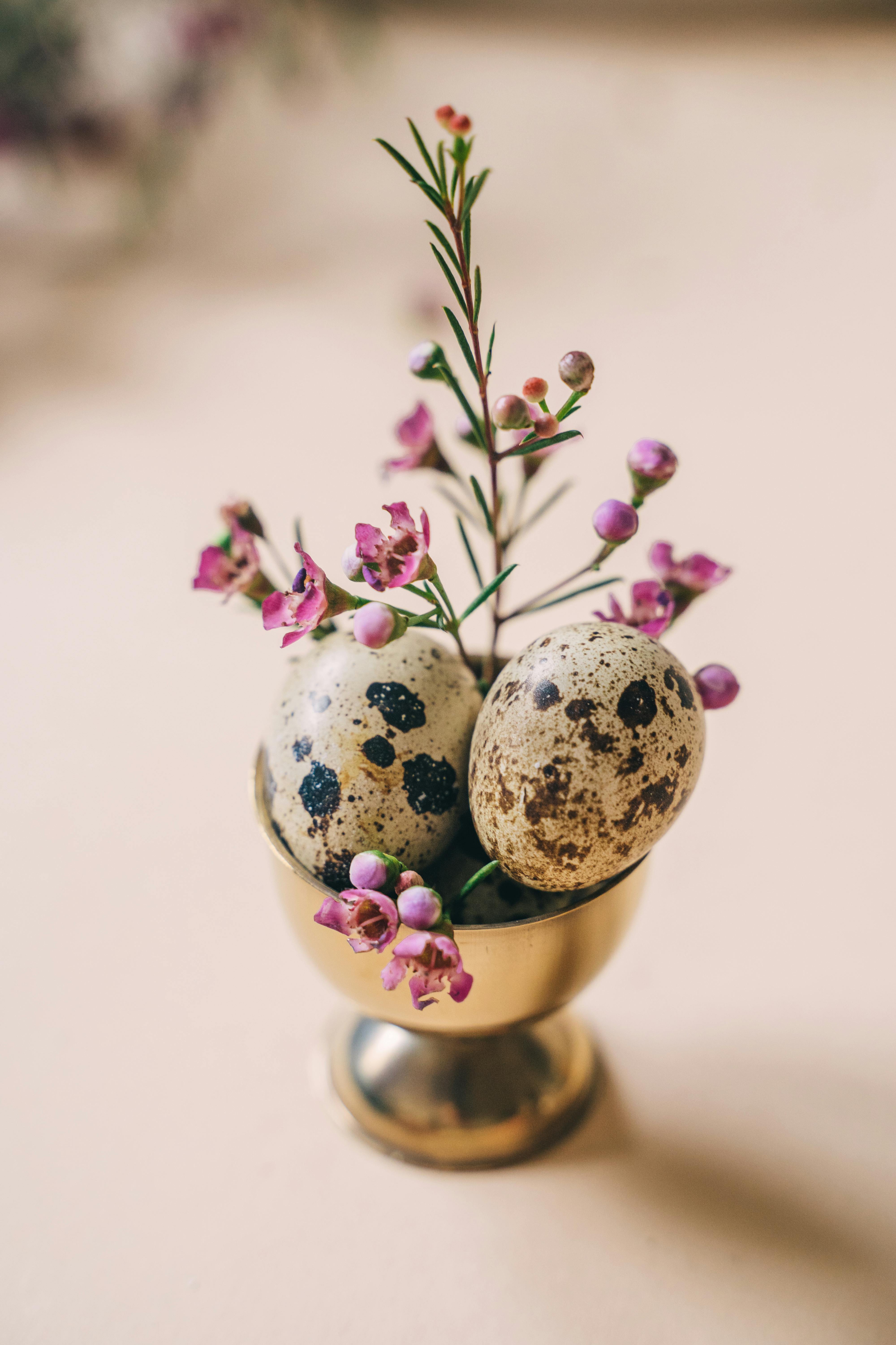 Close-up of quail eggs in a decorative gold cup with pink flowers, perfect for spring themes.