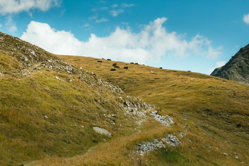 Free Explore the serene rolling hills of Chiavenna, Lombardy with this stunning nature landscape capture. Stock Photo