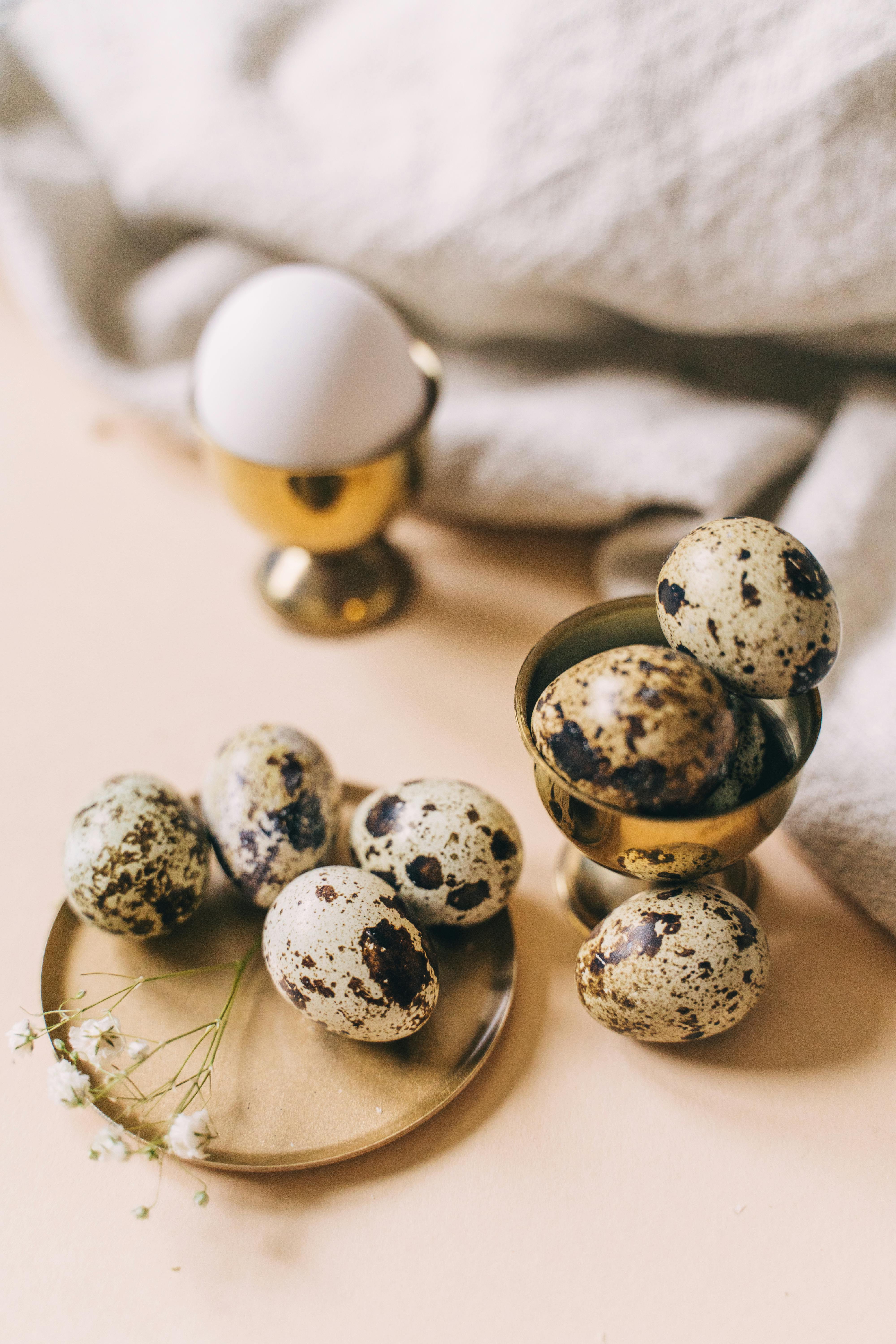 quail eggs