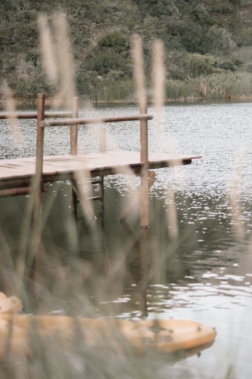 Brown Wooden Dock on Lake