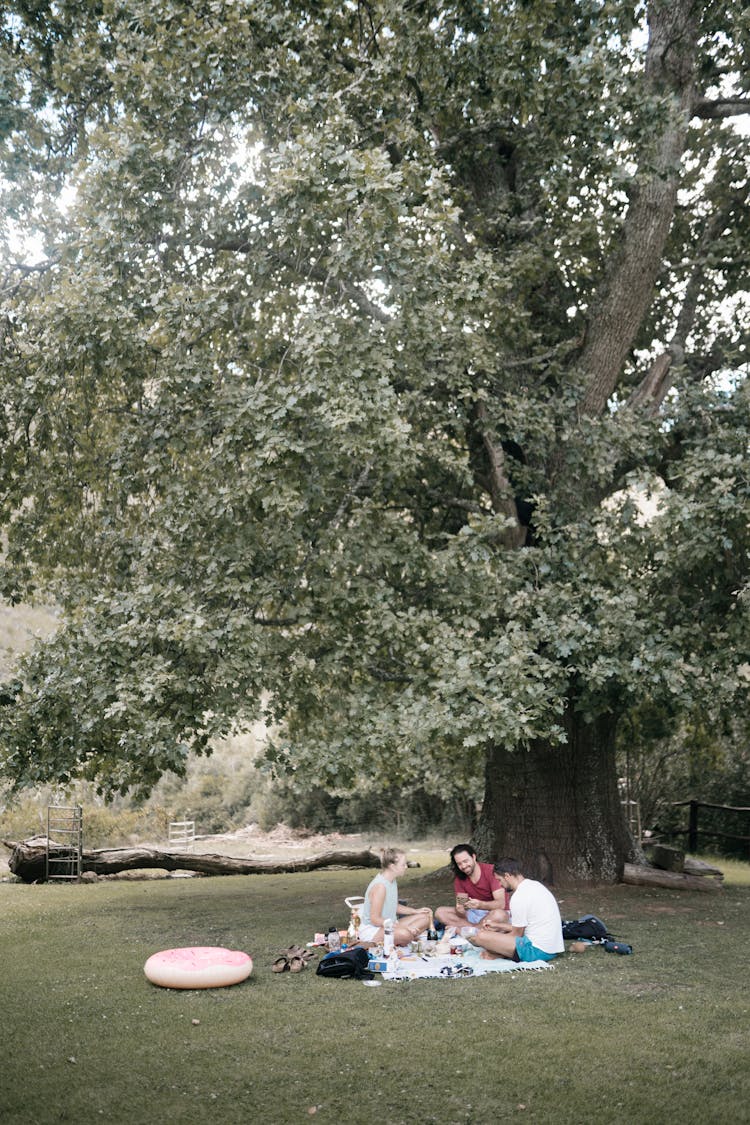 People Having A Picnic Under The Tree