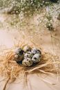 Blue and White Stones on Brown Grass