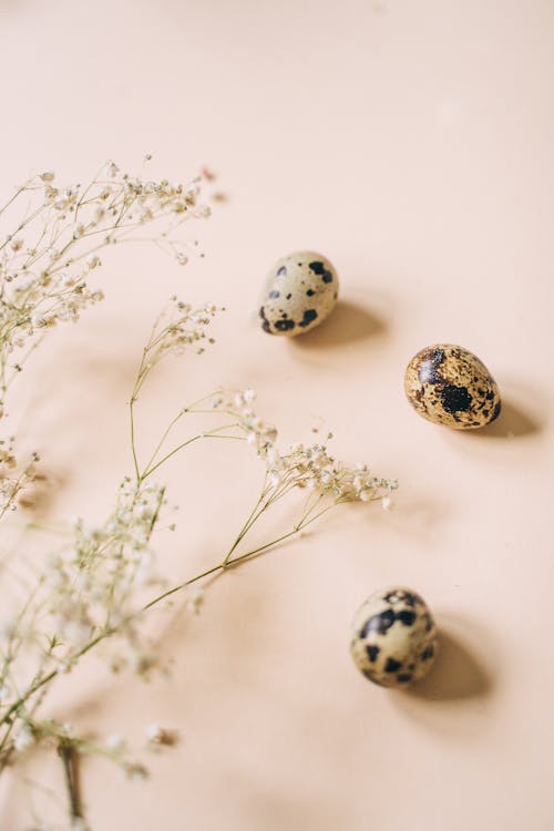 Quail Eggs Beside Baby's Breath Flowers