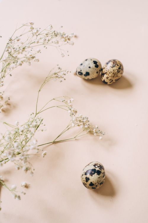 Free Soft focus image of baby's breath flowers next to quail eggs on a light pastel background. Stock Photo