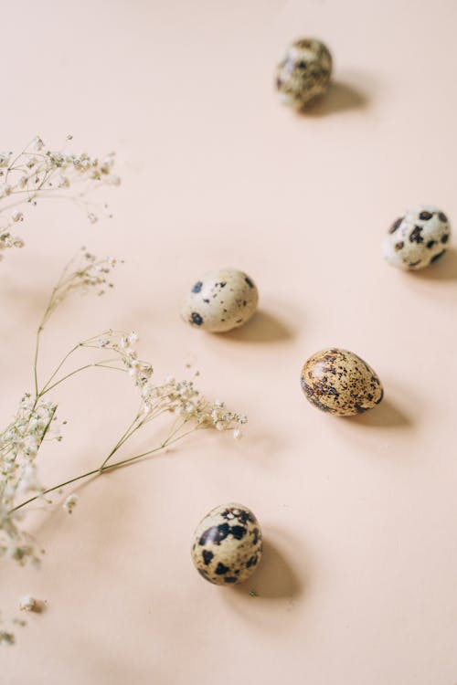 A Close-Up Shot of Quail Eggs and Baby's Breath Flowers